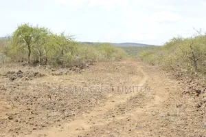 Crazy Offer! 50 by 100 Plots at 139,000