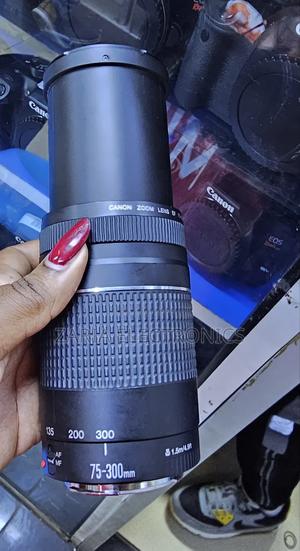 Canon 75-300mm Zoom Lens - main view