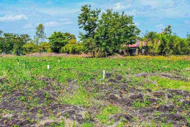 Zuri Gardens - thumbnail 2