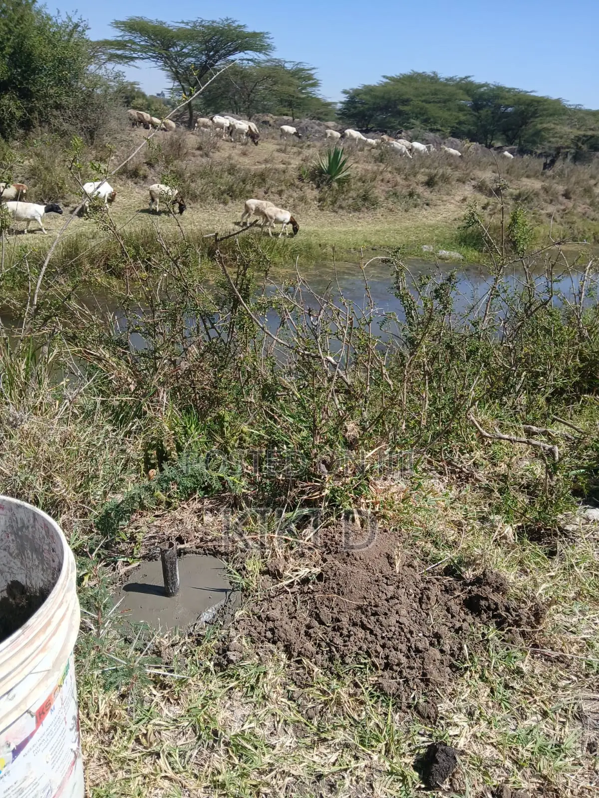 1 Acre Kitengela. Distress Sale