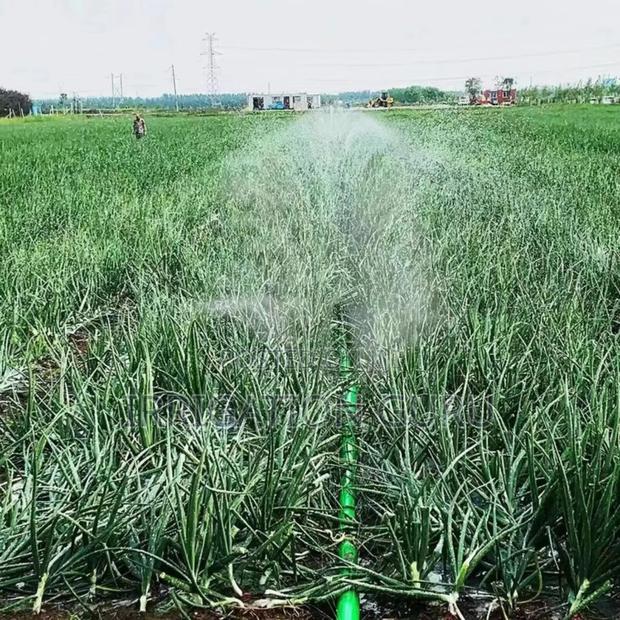 Black Rain Hose Pipe. Irrigation - main view