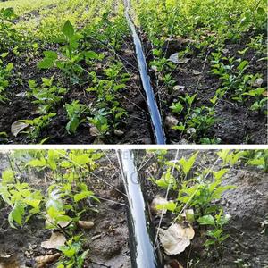 Rain Hose Irrigation Pipe - thumbnail 2