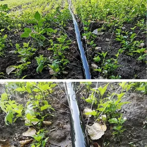 Rain Hose Irrigation Pipe