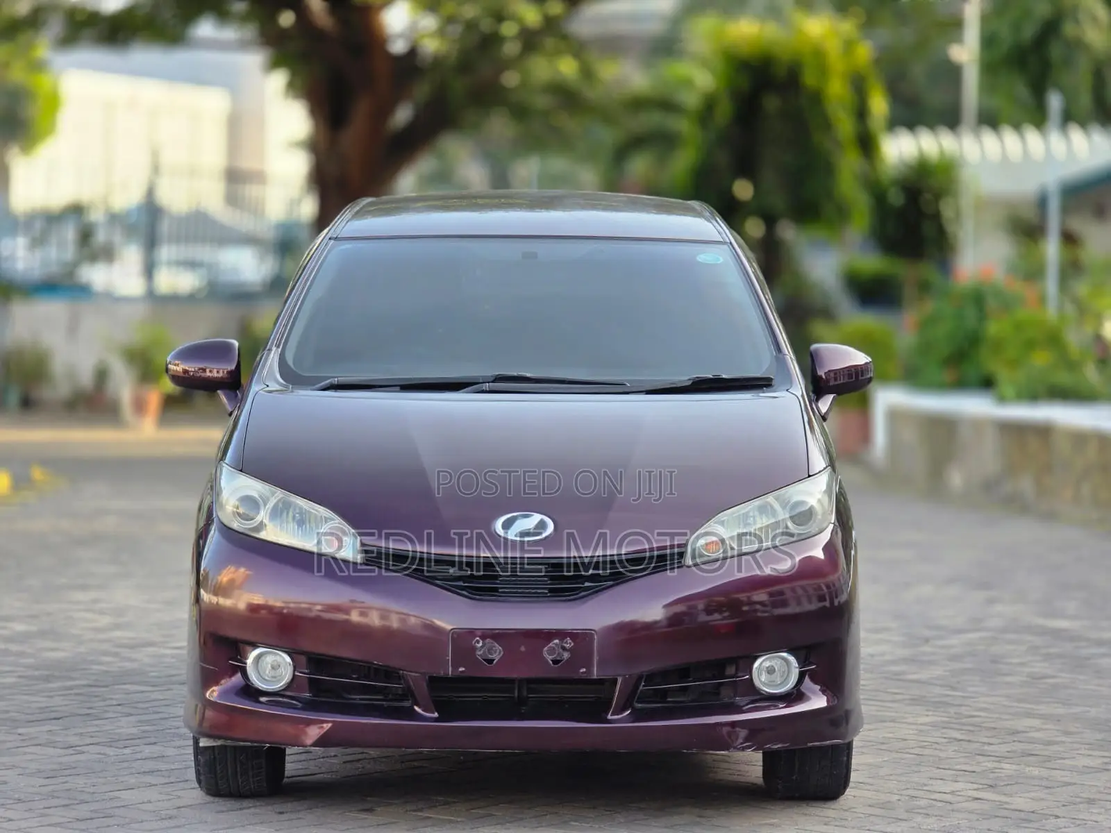Toyota Wish 2010 Brown