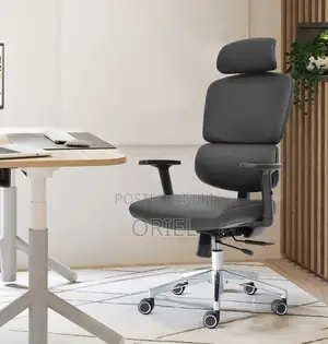 Office Chair : Robin Orthopedic High Back Ergonomic Office Chair