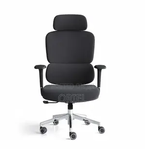 Office Chair : Robin Orthopedic High Back Ergonomic Office Chair