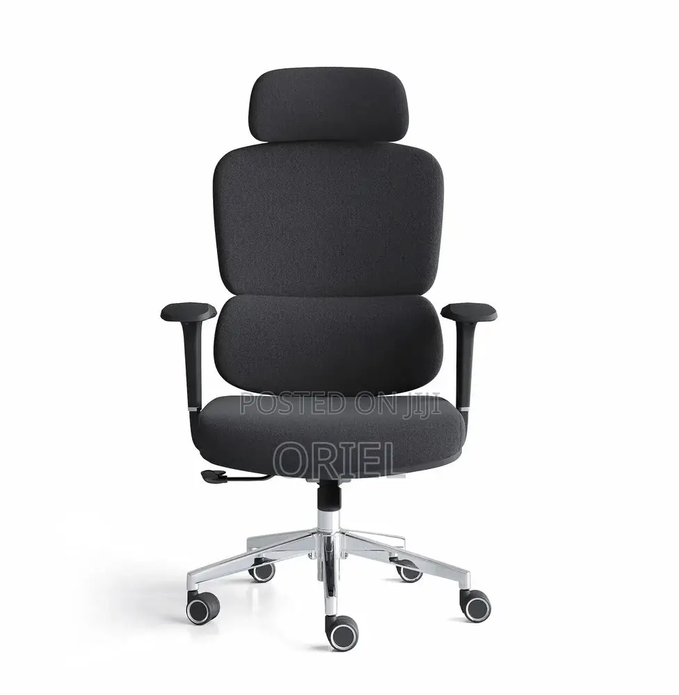 Office Chair : Robin Orthopedic High Back Ergonomic Office Chair