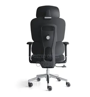 Office Chair : Robin Orthopedic High Back Ergonomic Office Chair