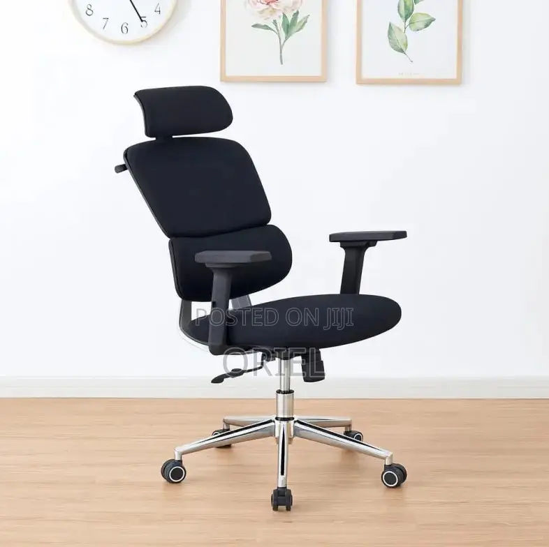Office Chair : Robin Orthopedic High Back Ergonomic Office Chair