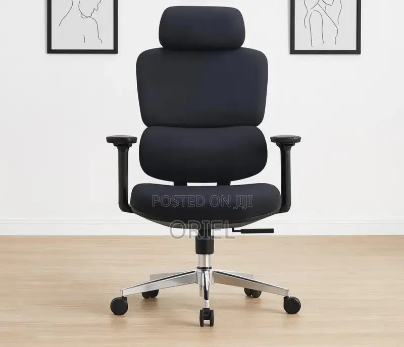 Office Chair : Robin Orthopedic High Back Ergonomic Office Chair