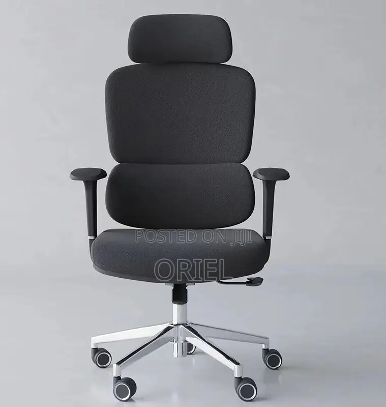Office Chair : Robin Orthopedic High Back Ergonomic Office Chair