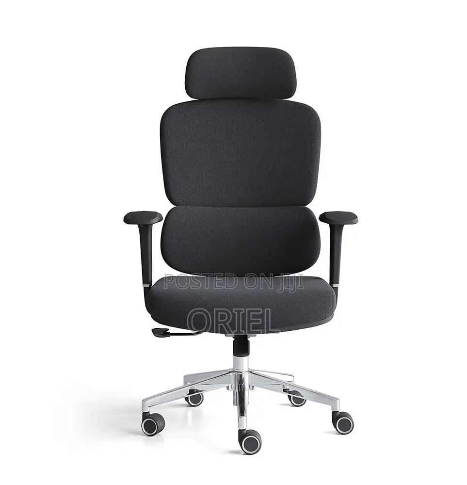 Office Chair : Robin Orthopedic High Back Ergonomic Office Chair
