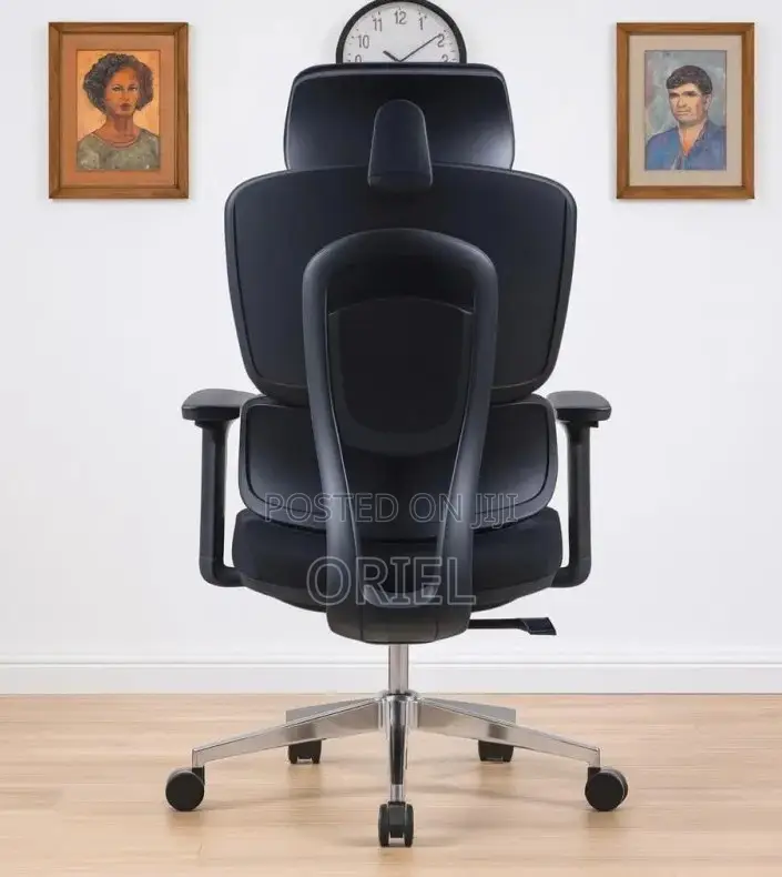 Office Chair : Robin Orthopedic High Back Ergonomic Office Chair