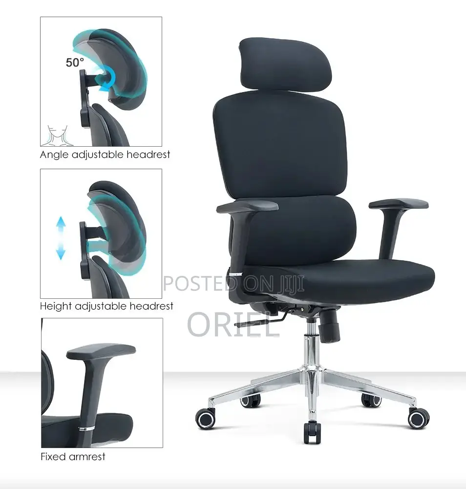 Office Chair : Robin Orthopedic High Back Ergonomic Office Chair
