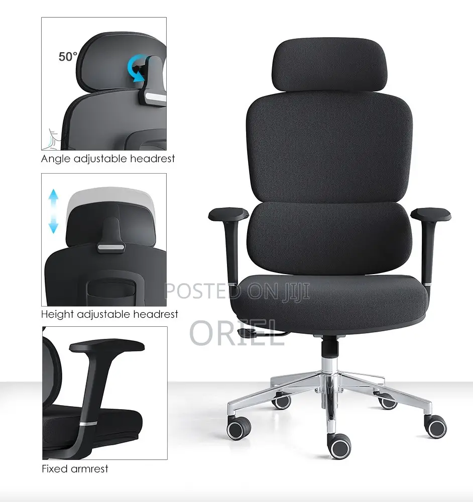 Office Chair : Robin Orthopedic High Back Ergonomic Office Chair
