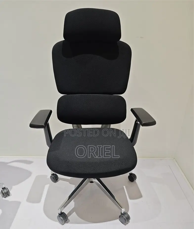 Office Chair : Robin Orthopedic High Back Ergonomic Office Chair