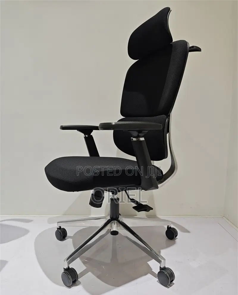 Office Chair : Robin Orthopedic High Back Ergonomic Office Chair
