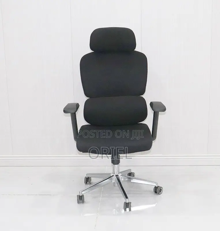 Office Chair : Robin Orthopedic High Back Ergonomic Office Chair