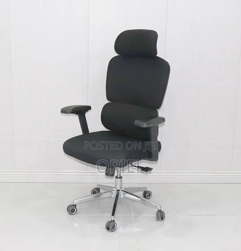 Office Chair : Robin Orthopedic High Back Ergonomic Office Chair