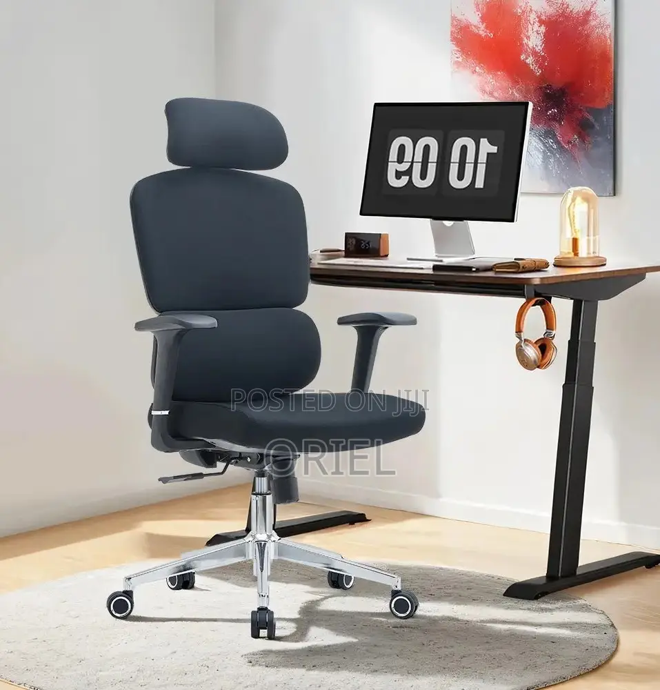 Office Chair : Robin Orthopedic High Back Ergonomic Office Chair