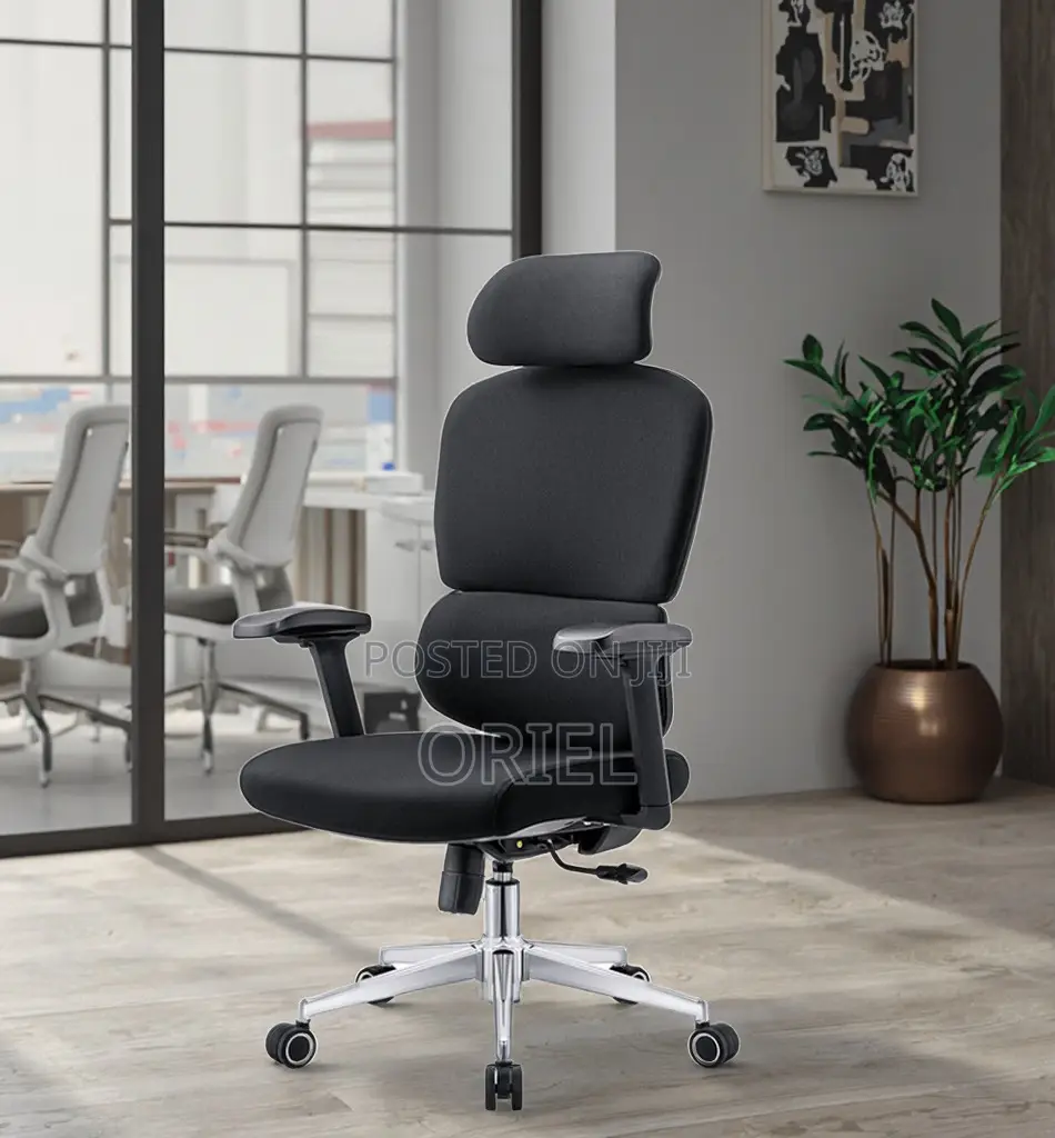 Office Chair : Robin Orthopedic High Back Ergonomic Office Chair