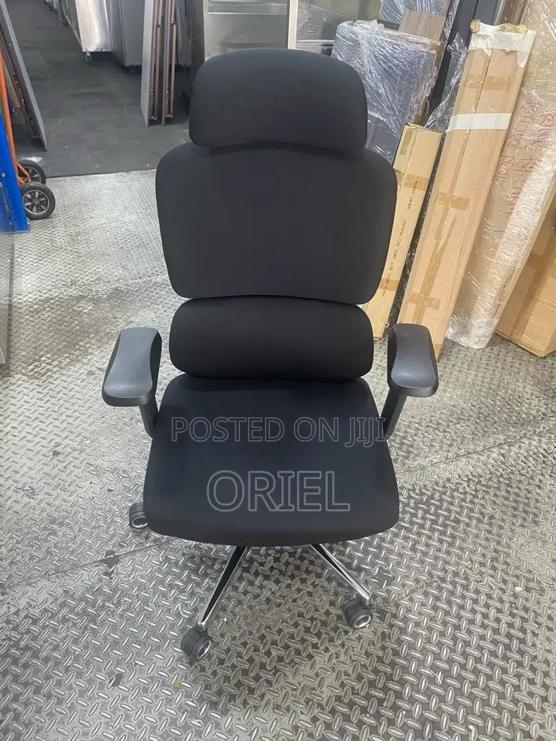 Office Chair : Robin Orthopedic High Back Ergonomic Office Chair