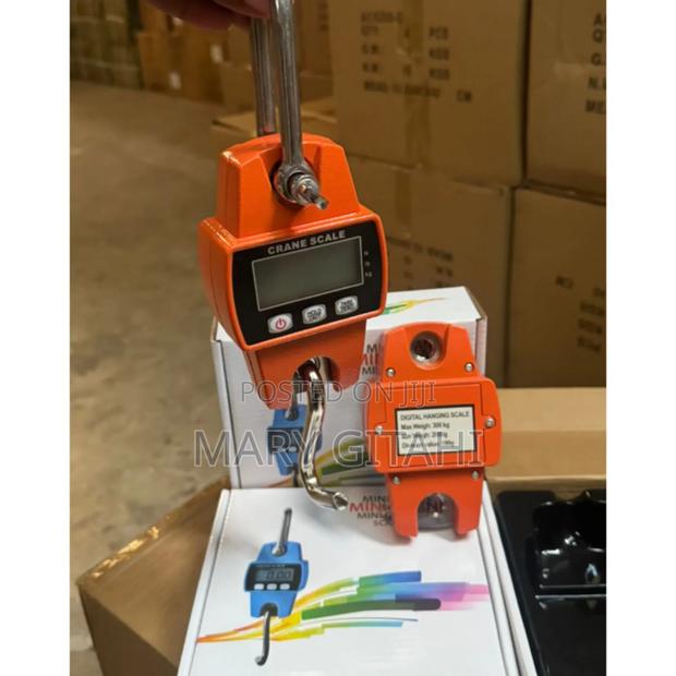 Digital Crane Scale 300kg at - main view