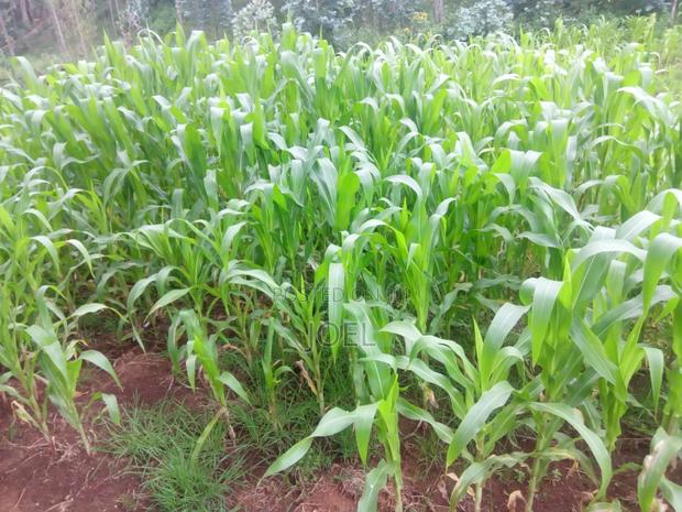 Isinya 3 Acres Land - thumbnail 3