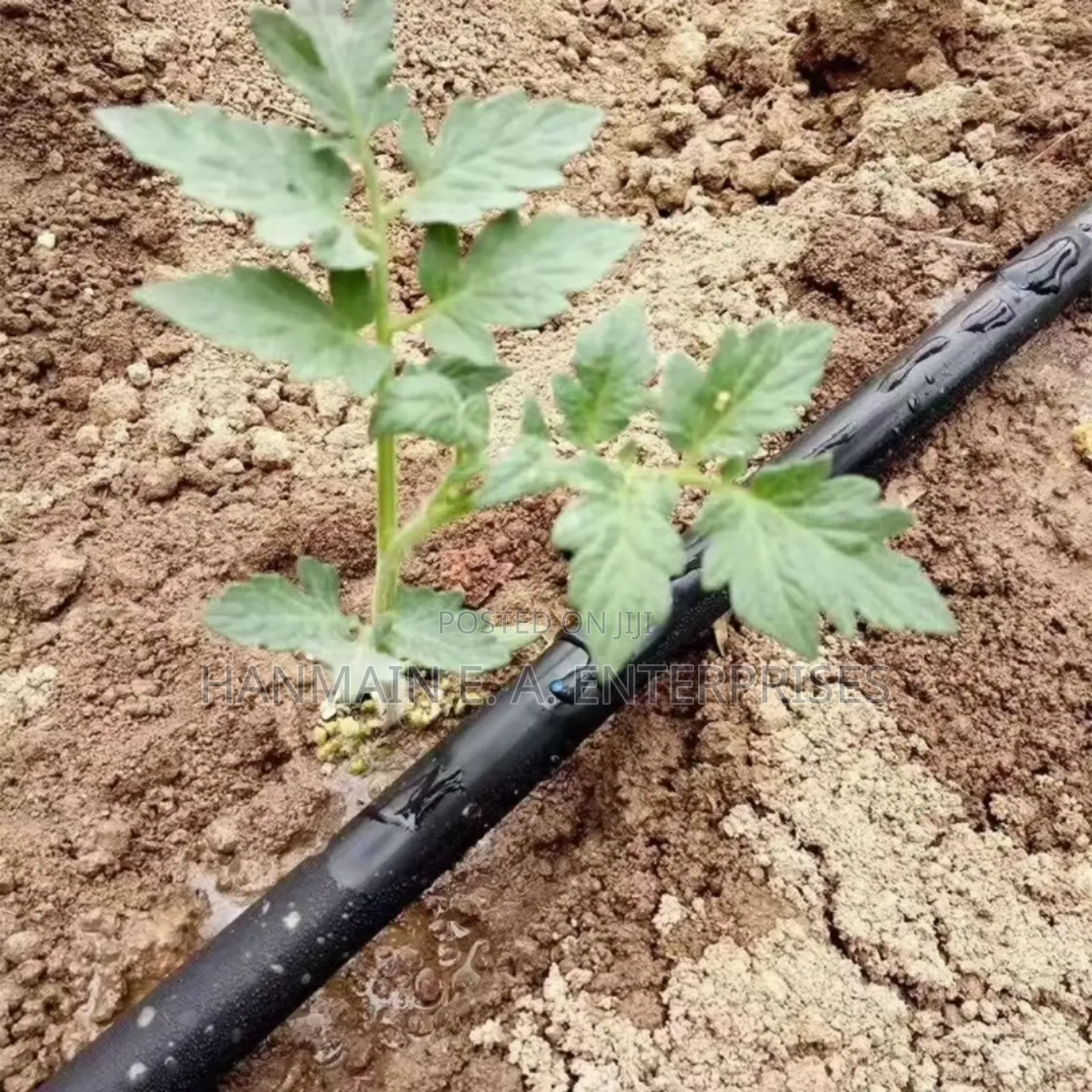 Double Drip Irrigation Pipe 1000mx0.3mm