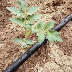 Double Drip Irrigation Pipe 1000mx0.3mm