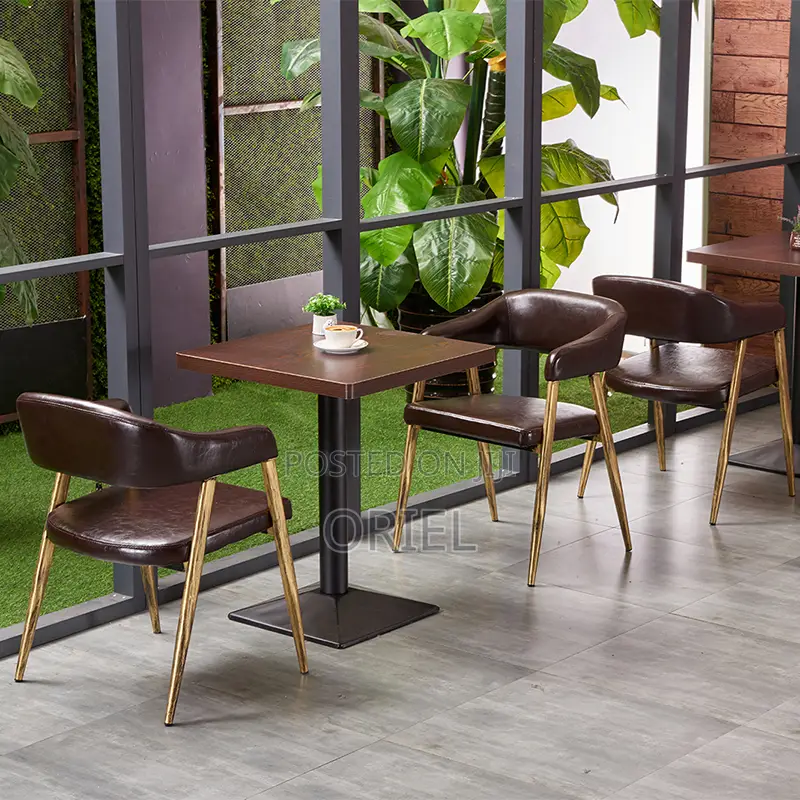 Dining Chair : Modern Restaurant Dining Chair