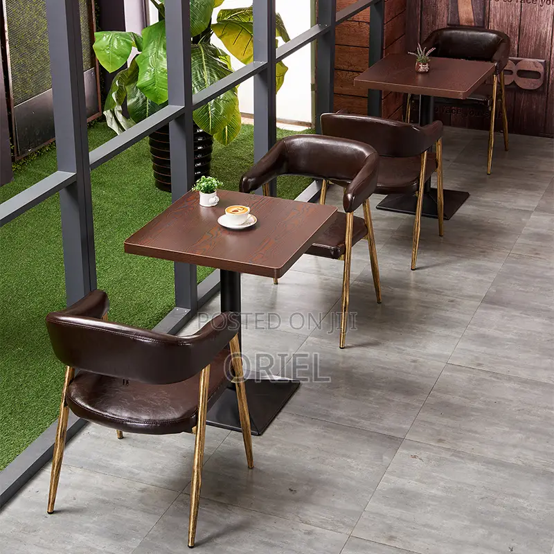 Dining Chair : Modern Restaurant Dining Chair