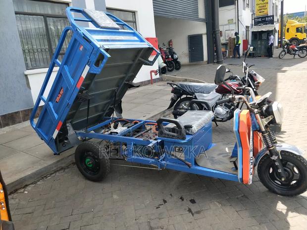 Cargo Trycicle - main view