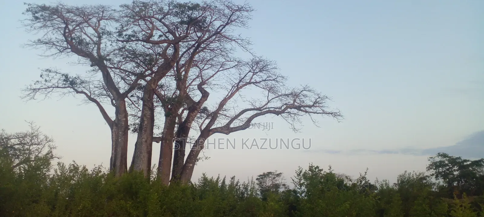 Galu Beach Plot 3.5 Acres on Sale. Close to the Cool Kaya Forest.