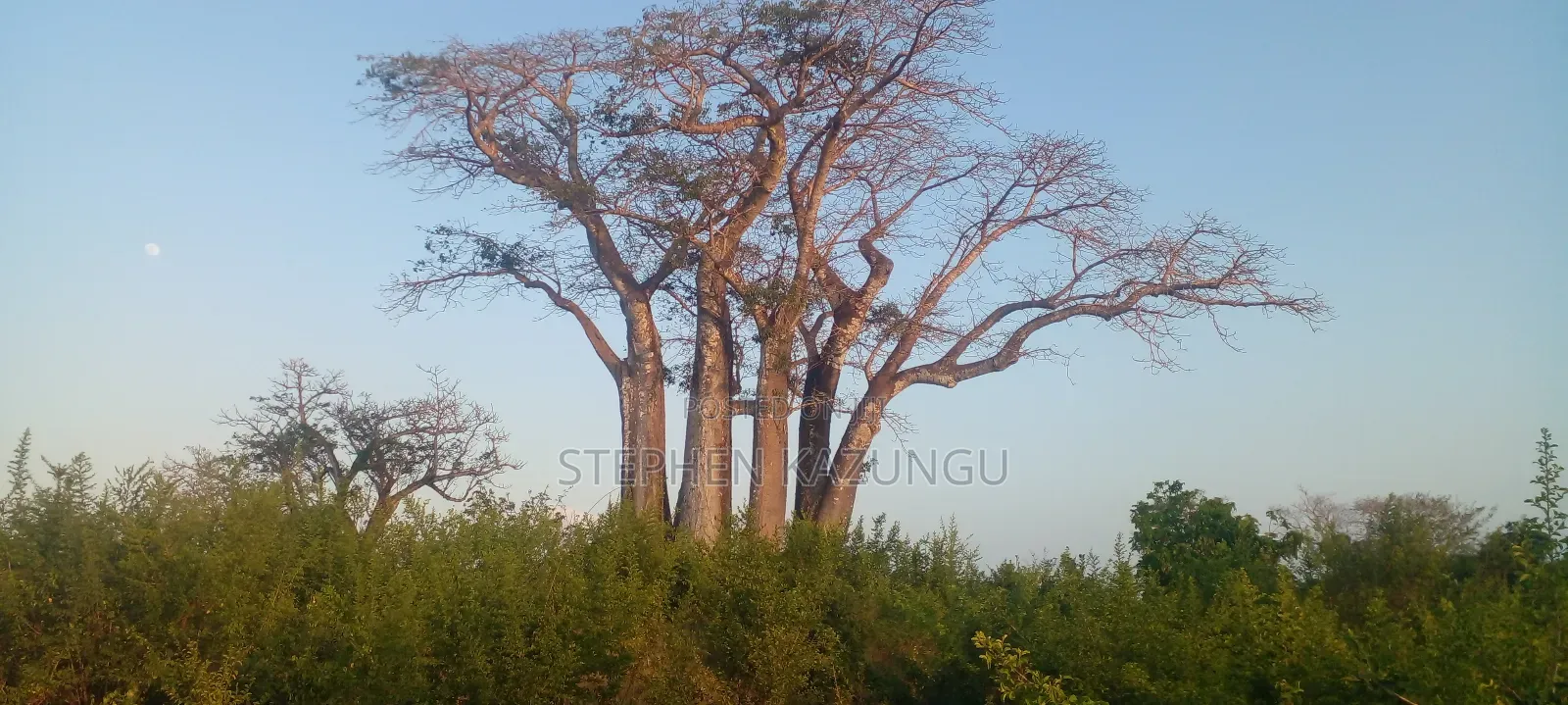 Galu Beach Plot 3.5 Acres on Sale. Close to the Cool Kaya Forest.