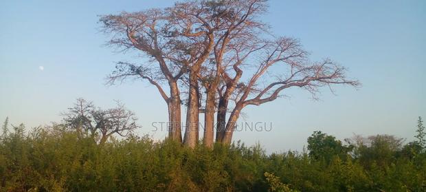 Galu Beach Plot 3.5 Acres on Sale. Close to the Cool Kaya Forest. - thumbnail 7