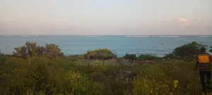 Galu Beach Plot 3.5 Acres on Sale. Close to the Cool Kaya Forest.