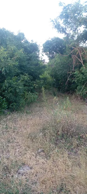 Galu Beach Plot 3.5 Acres on Sale. Close to the Cool Kaya Forest.