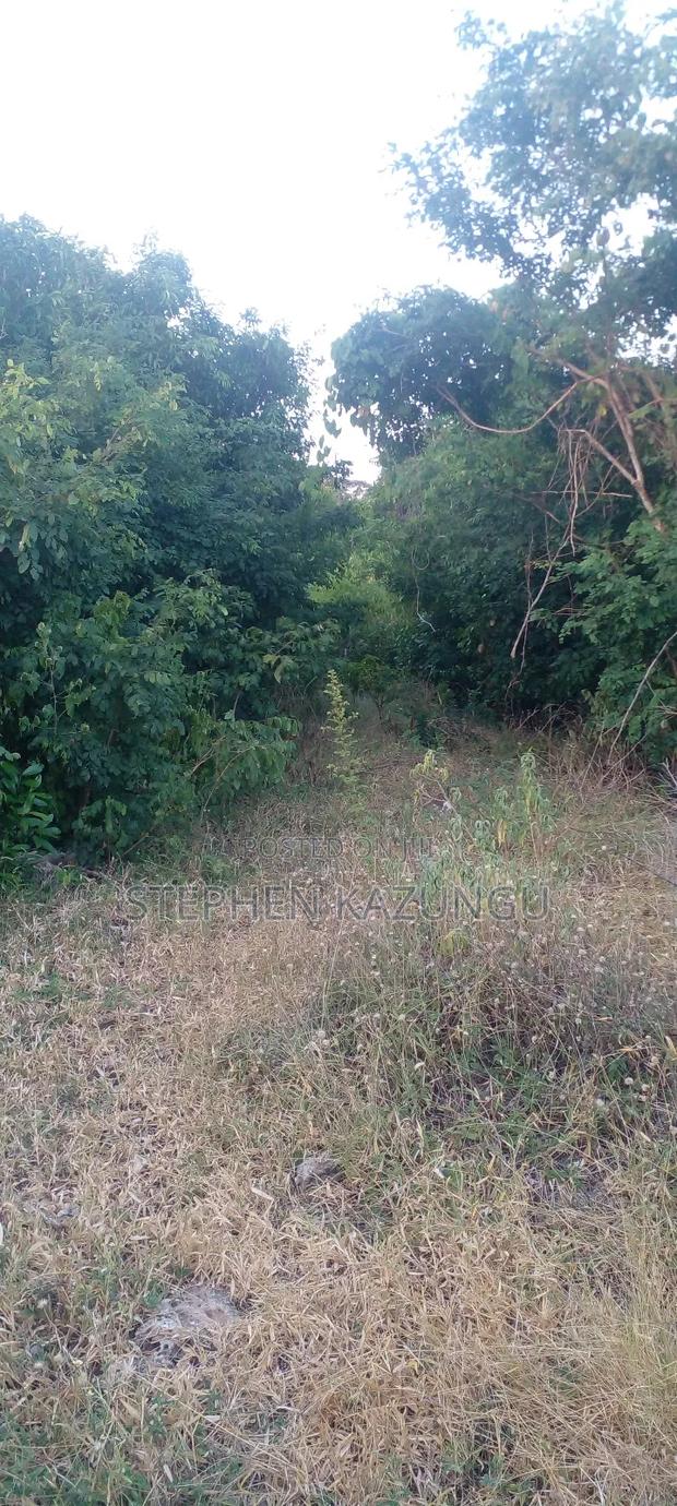 Galu Beach Plot 3.5 Acres on Sale. Close to the Cool Kaya Forest. - thumbnail 10