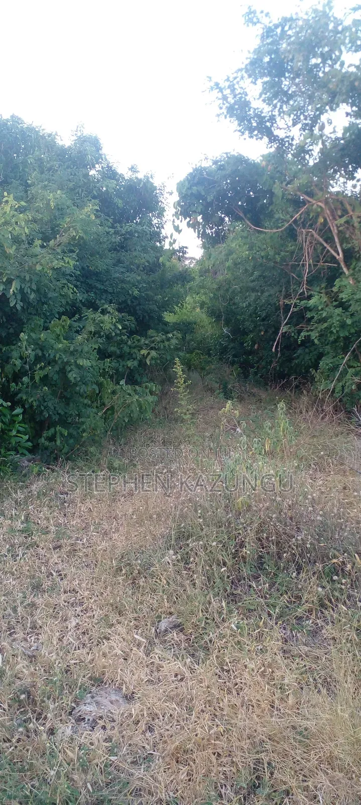 Galu Beach Plot 3.5 Acres on Sale. Close to the Cool Kaya Forest.