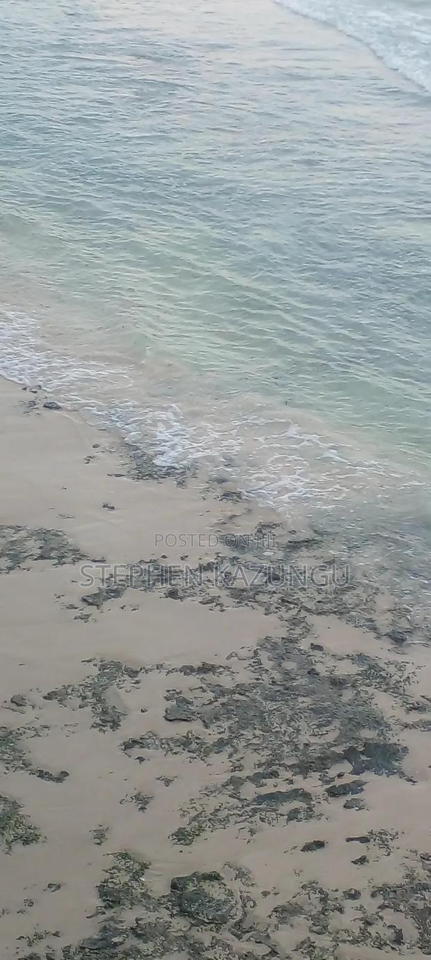 Galu Beach Plot 3.5 Acres on Sale. Close to the Cool Kaya Forest. - thumbnail 12