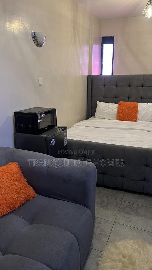 Furnished Studio Apartment in Tsavo, Roysambu. for rent - thumbnail 7