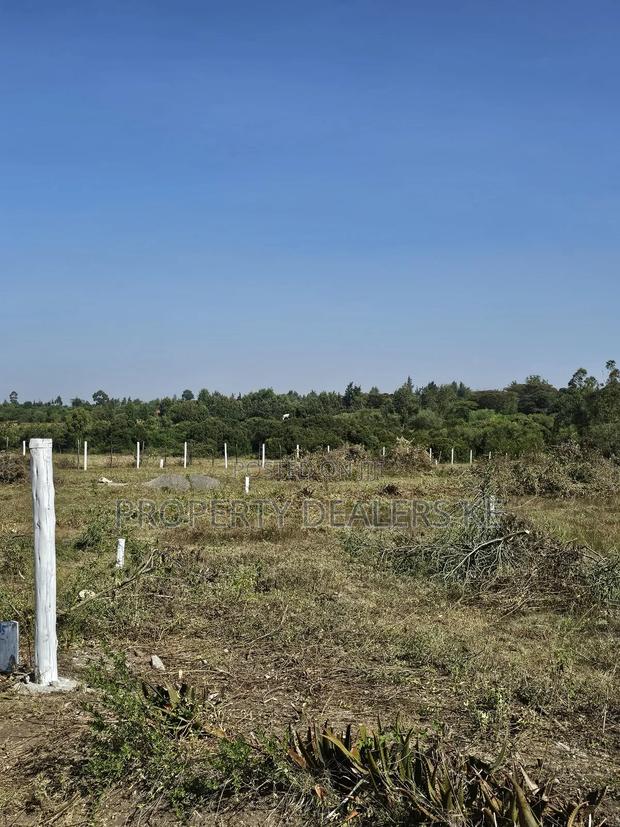 Affordable Plots for Sale in Nanyuki