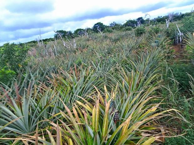Malindi Plots for Sale
