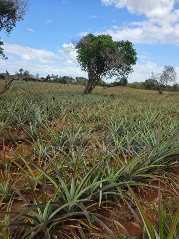 Malindi Plots for Sale - thumbnail 3