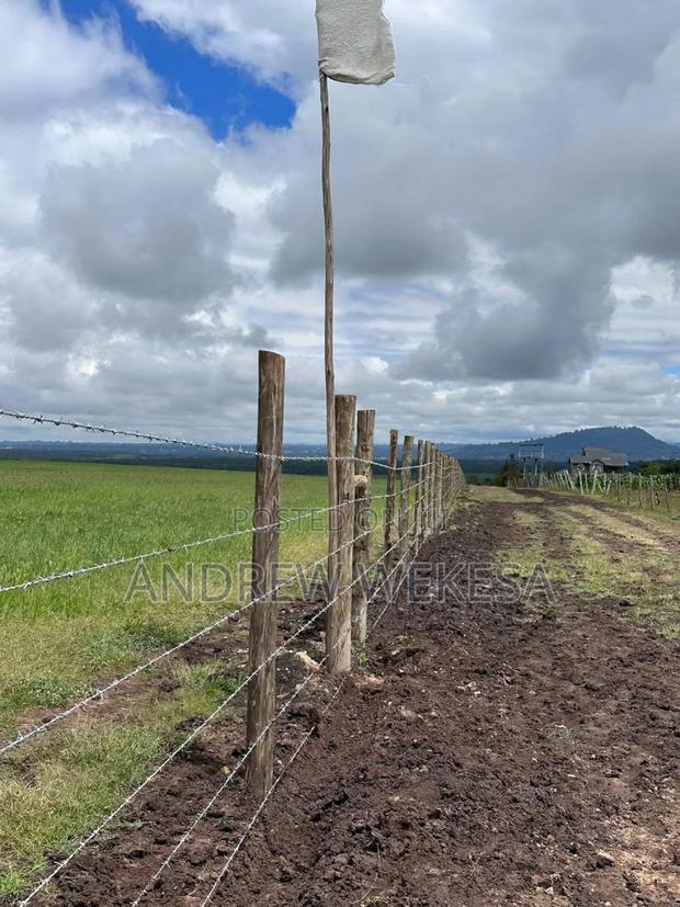 Land for Sale (100*100) in Naivasha Opposite Lake View