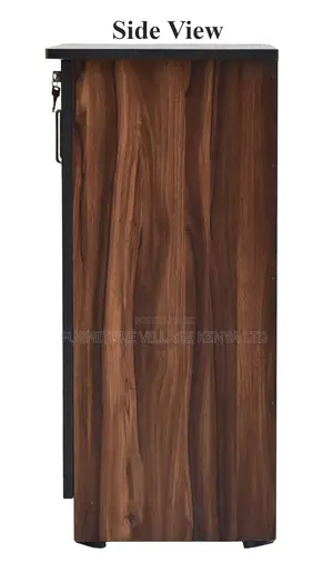 Executive 2-door Wooden Cabinet