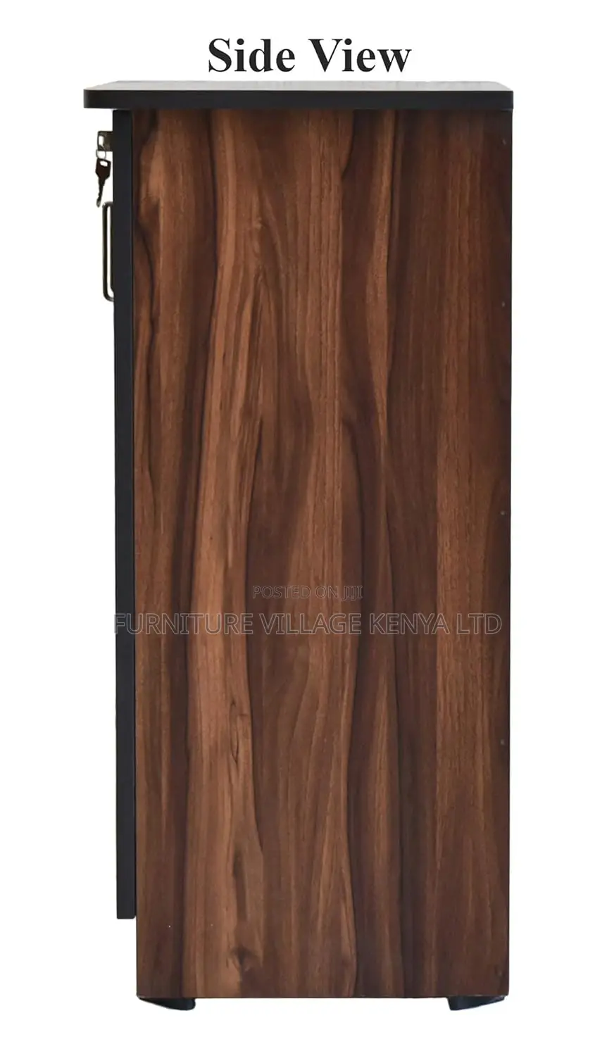 Executive 2-door Wooden Cabinet