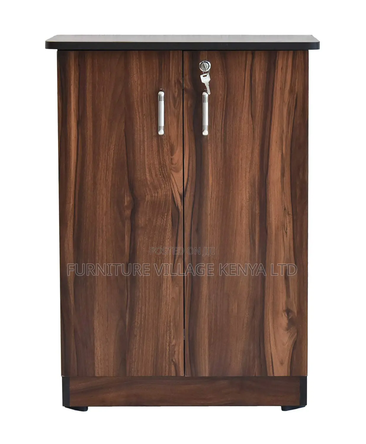 Executive 2-door Wooden Cabinet