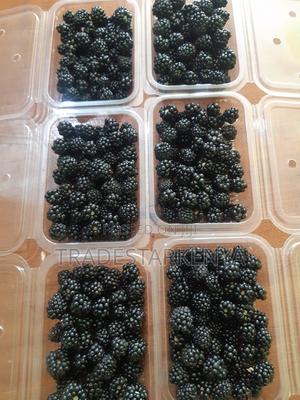 Fresh and Organic Blackberries - main view